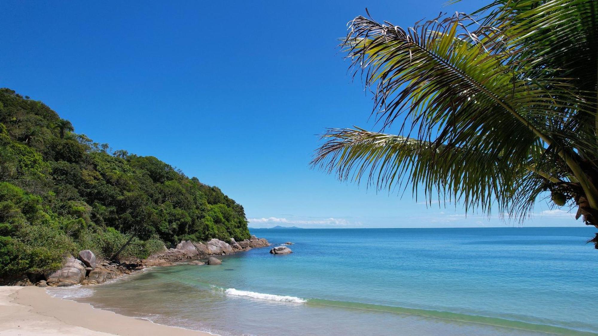 Jardim Praia do Estaleiro - Bangalô Casa das Palmeiras Porto Belo Extérieur photo